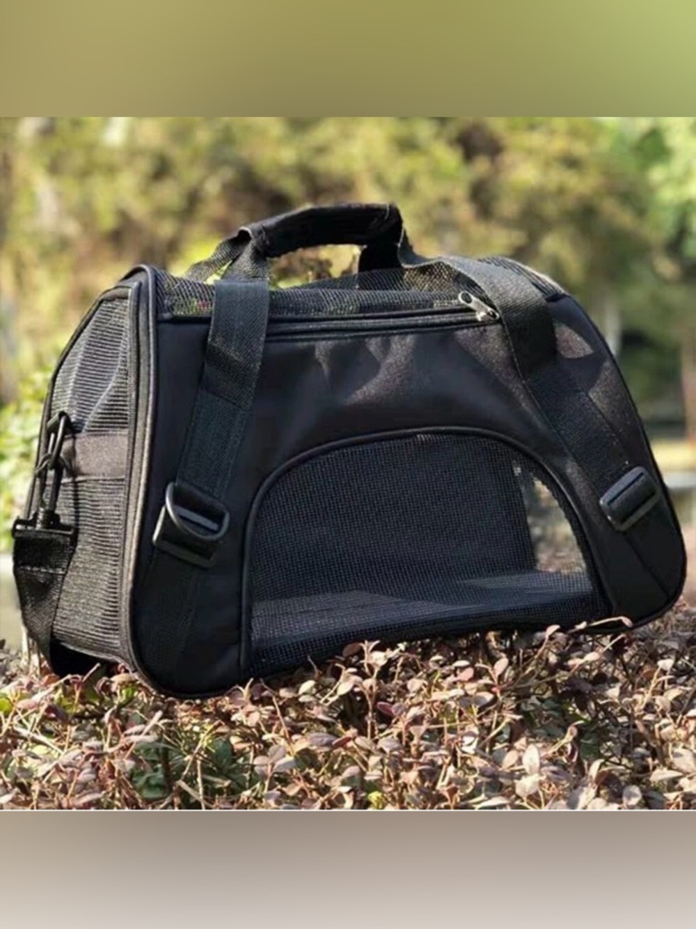 Large Pet Carrier TSA Approved